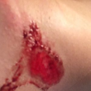 Meet your Posher, Austin